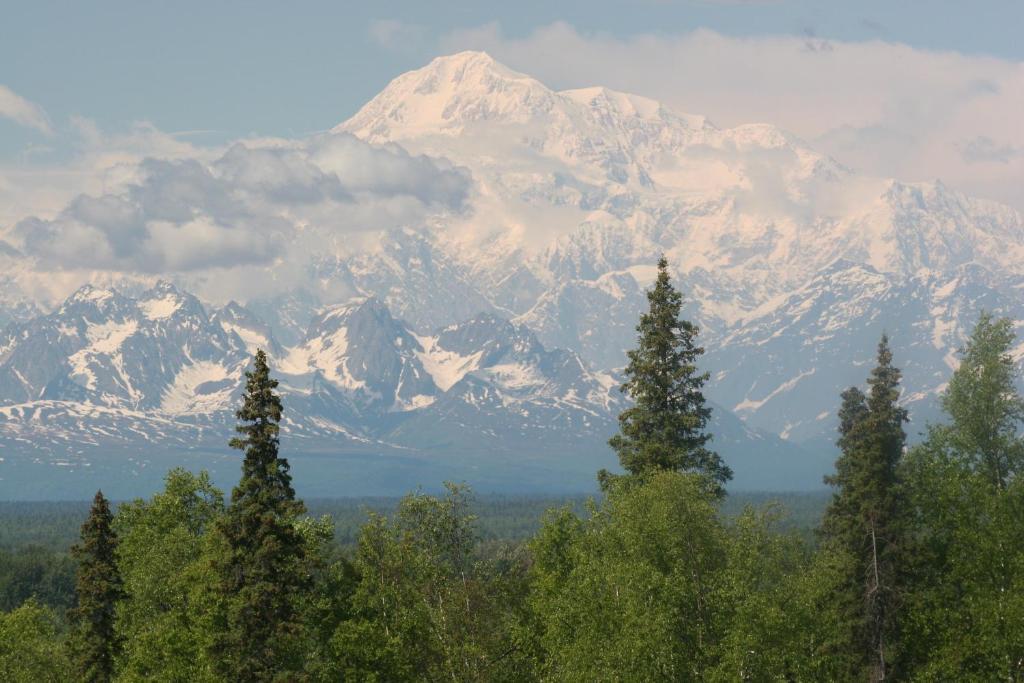 Talkeetna Alaskan Lodge Экстерьер фото